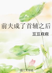 前夫成了首辅之后