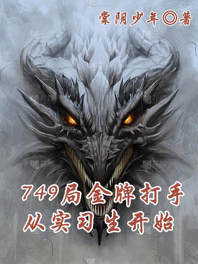 749局金牌打手，从实习生开始