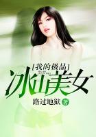 我的极品冰山美女